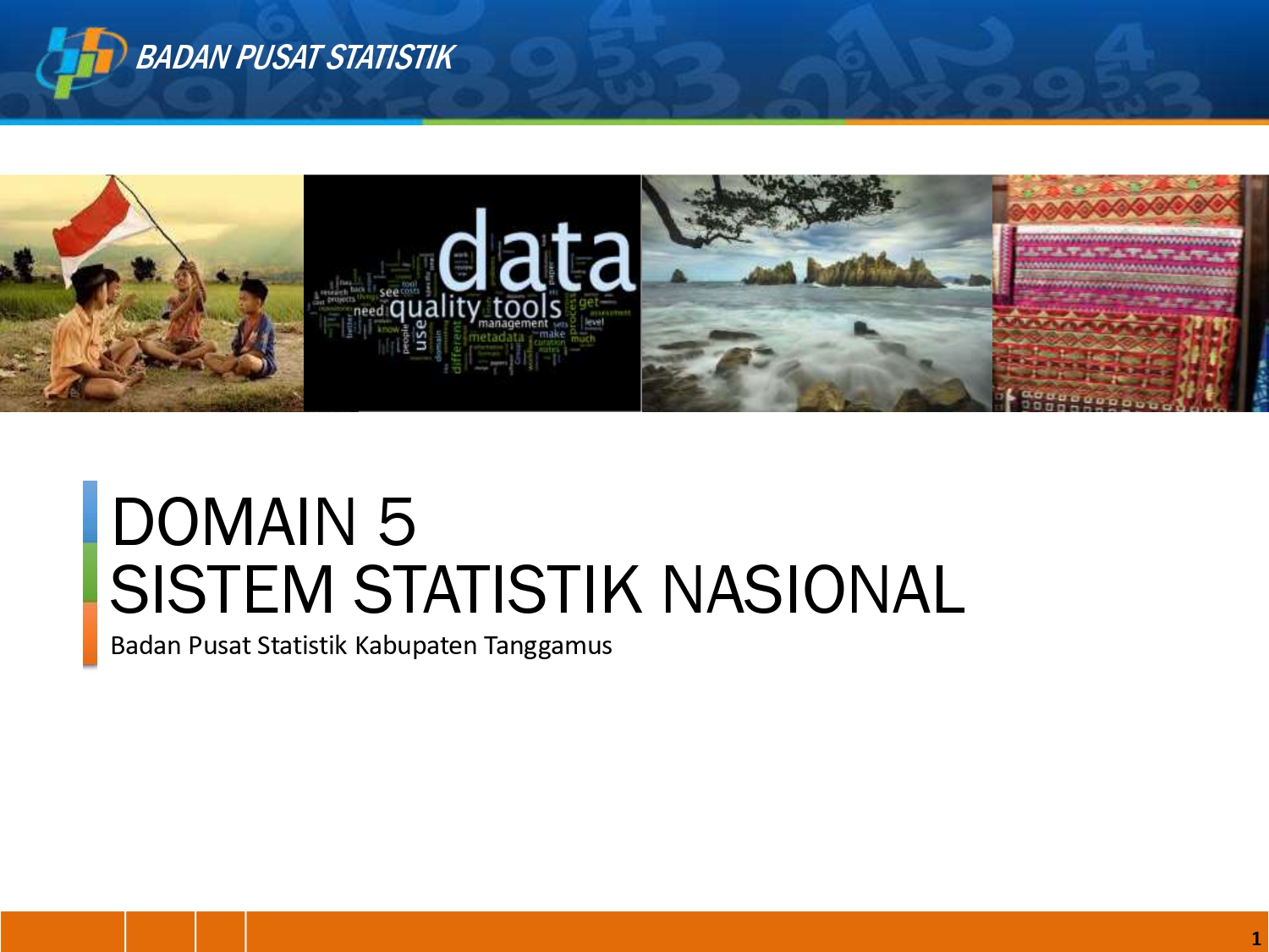 Sistem Statistik Nasional